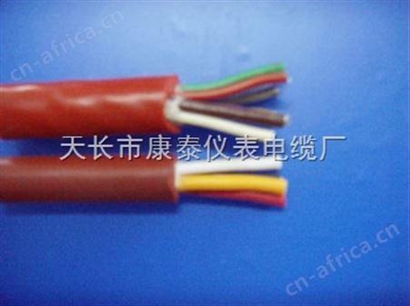 ZR-JGGR阻燃硅橡胶电缆44