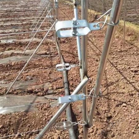 西润制造紧线器 葡萄架紧线器