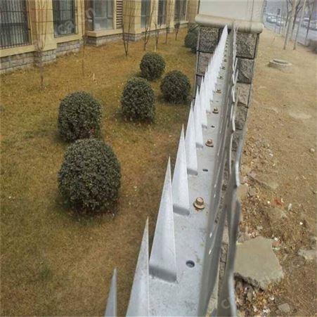 西润老城区改造防爬刺 大号刺钉 金属护栏防攀爬刺