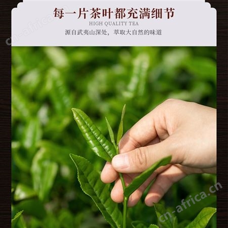 盛创汇联 特级正山小种红茶茶叶礼盒装500g伴手礼供应