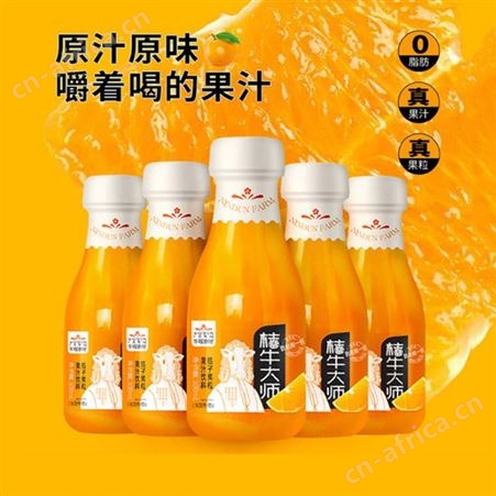 桔子果粒果汁饮料桔子汁300ml*20整箱销售商超渠道