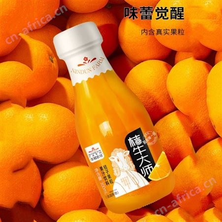 桔子果粒果汁饮料桔子汁300ml*20整箱销售商超渠道