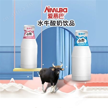 爱慕巴水牛原味酸奶发酵饮品真酸奶早餐代餐