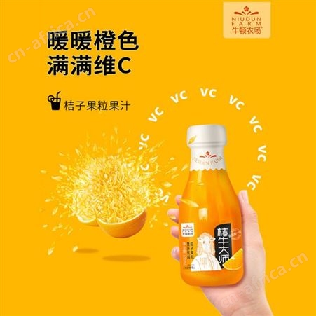 桔子果粒果汁饮料桔子汁300ml*20整箱销售商超渠道