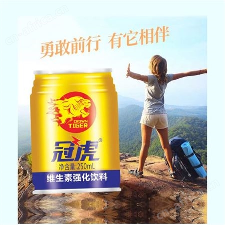 冠虎维生素强化饮料250ml补充能量功能饮料易拉罐装