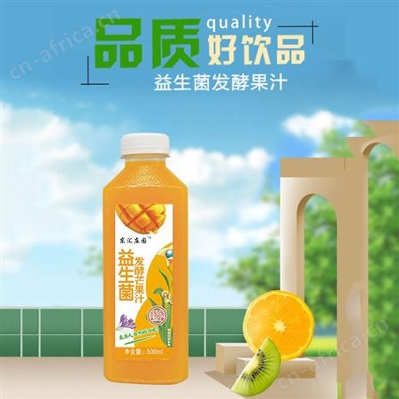 益生菌发酵芒果汁500ml瓶装果味果汁饮料芒果果汁