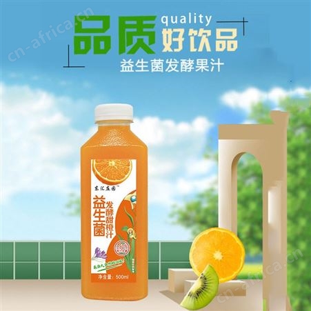 益生菌发酵甜橙汁500ml果味果汁饮料商超渠道