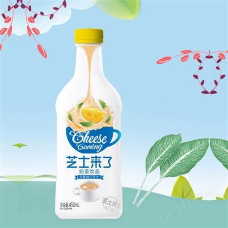 芝士小腰复合蛋白饮品450ml*15补充营养方便饮品