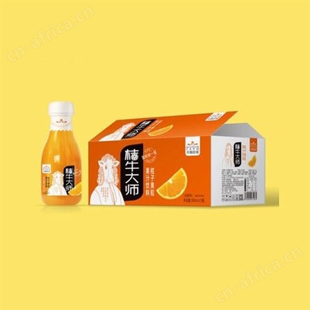 桔子果粒果汁饮料桔子汁300ml*20整箱销售商超渠道