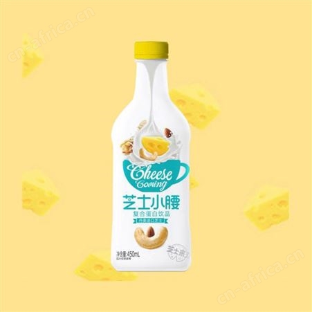 芝士小腰复合蛋白饮品450ml*15补充营养方便饮品