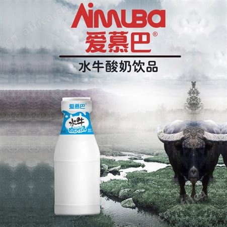爱慕巴水牛原味酸奶发酵饮品真酸奶早餐代餐