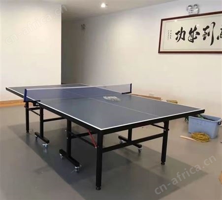 折叠乒乓球桌 室外室内青年锻炼体育用品 防晒防雨 江西乒乓球桌