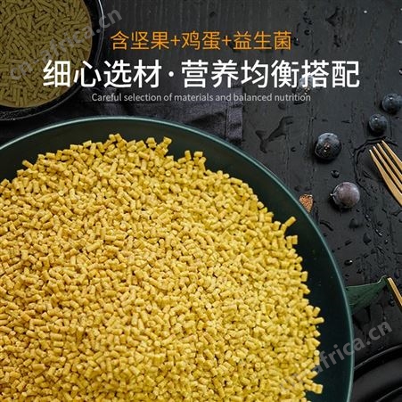 开元鹦鹉滋养丸无壳中小型鹦鹉专用鸟粮玄凤鸟牡丹幼鸟食营养