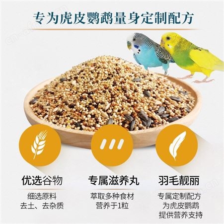 开元鹦鹉粮虎皮鹦鹉专用粮鹦鹉鸟粮谷子含滋养丸营养混合鸟食