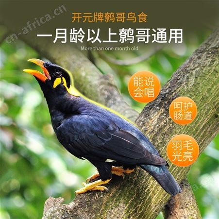 开元牌八哥饲鹩哥专用鸟食天然营养亮毛鸟粮鸟