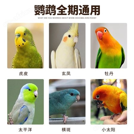 开元鹦鹉滋养丸无壳中小型鹦鹉专用鸟粮玄凤鸟牡丹幼鸟食营养