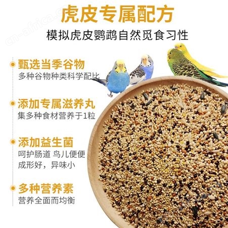 开元鹦鹉粮虎皮鹦鹉专用粮鹦鹉鸟粮谷子含滋养丸营养混合鸟食