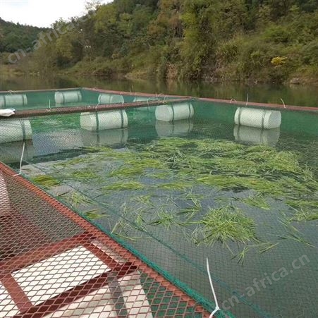 福利 尼龙网箱水产养殖 网箱式抬网网箱 海参鲍鱼养殖网箱