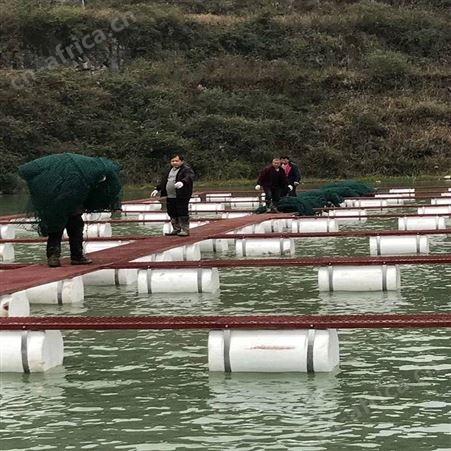 加厚泥鳅网箱 网箱式抬网网箱 福利 深海网箱加工