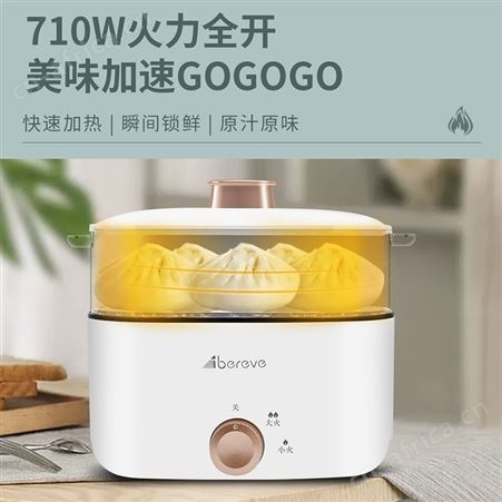 艾贝丽 多功能电蒸锅 ABL-DZG01 艾贝丽总代理商 总经销商