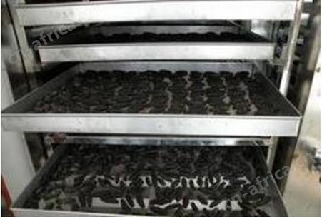 海产品烘干机设备 小型海参低温除湿烘干机 海参烘干机 金鲳鱼烘干设备