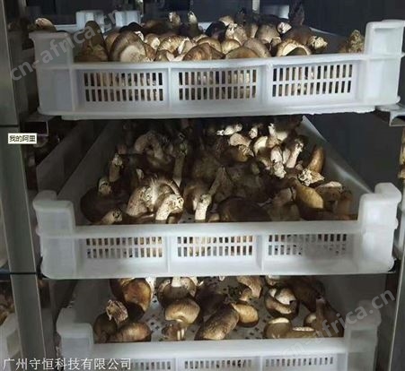 香菇烘干机 食用菌烘干机厂家 冬菇除湿烘干机