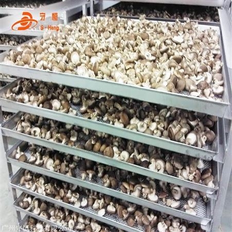 香菇烘干机 食用菌烘干机厂家 冬菇除湿烘干机