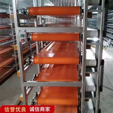 自动化框架式养鸡设备 层叠式肉鸡笼 外形美观