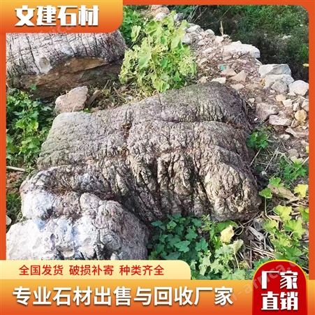 龟纹石假山石料 庭院鱼池自然园林景观石 河道驳岸护坡假山石头