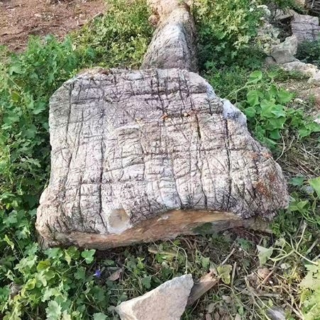 龟纹石假山石料 庭院鱼池自然园林景观石 河道驳岸护坡假山石头
