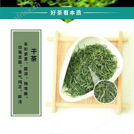 盛创汇联 毛尖绿茶500g茶叶团购礼品礼盒装一件代发