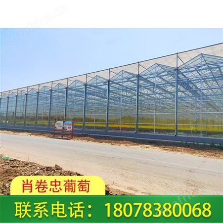 桂林温室大棚搭建-可种植蔬菜瓜果及花卉