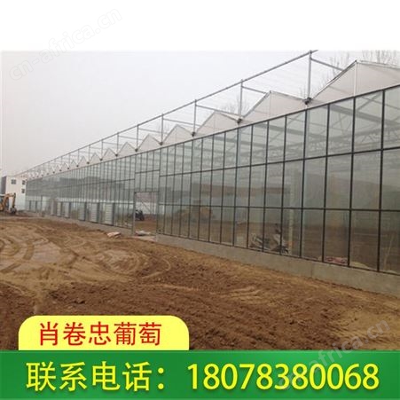 广西桂林农业养殖大棚搭建质量好价格低