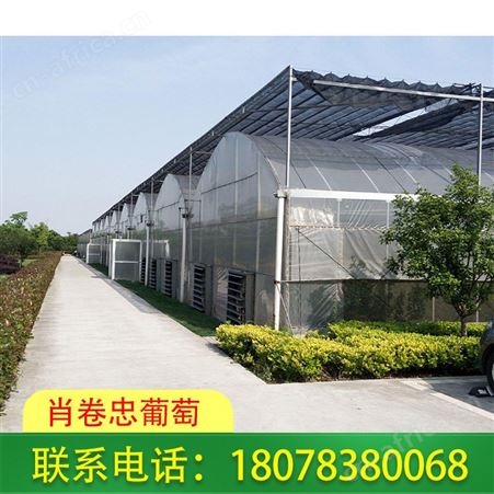 临桂智能连栋温室大棚施工搭建公司服务好