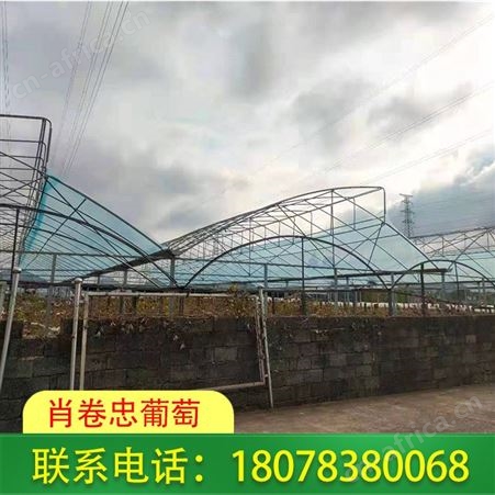 广西桂林葡萄膜订购_Po膜质量可靠