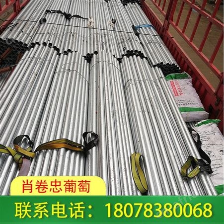钢结构连栋温室大棚承接区域广西市内
