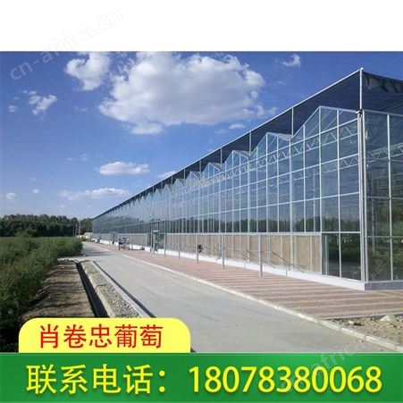 全州玻璃温室大棚制作-安装工程