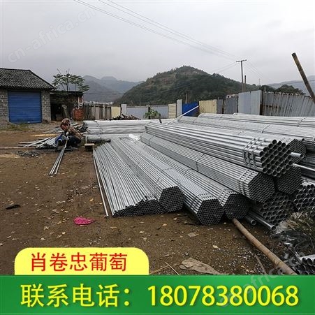 平乐草莓大棚搭建工程——肖卷忠葡萄诚实守信