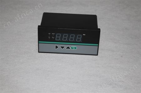 智能数显仪