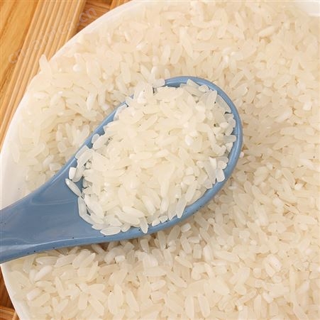 桂花甲清馥臻稻籼米5公斤 天然有机粒粒饱满 厂家供应