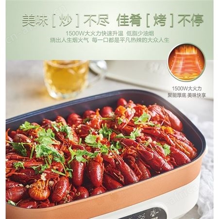 苏泊尔电火锅5.5L多用途功能料理锅电烧烤电炒锅煎烤机JD3424D08