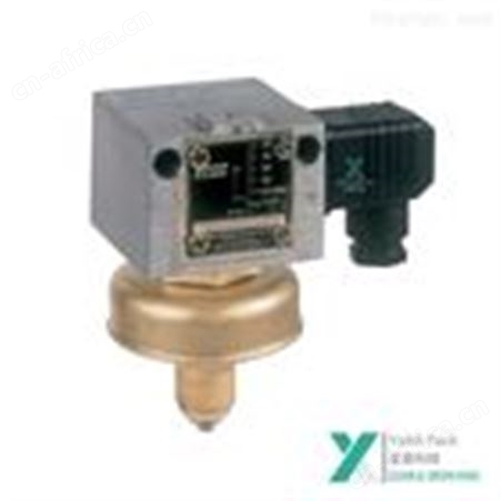 HONEYWELL气体压力监测仪DGM325A-213