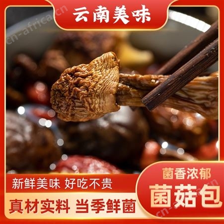 特产七彩菌汤包100克 羊肚菌姬松茸蘑菇 煲汤料包