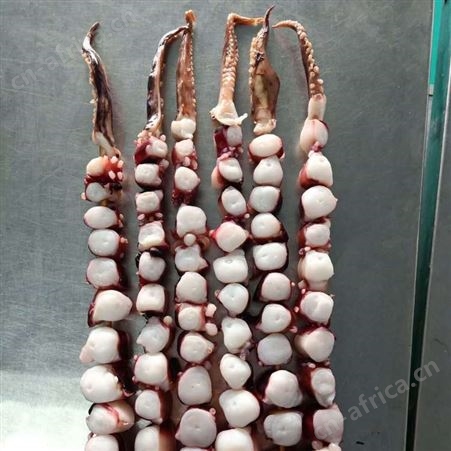 半成品龙珠串供应 冷冻章鱼足串 烧烤油炸食材批发