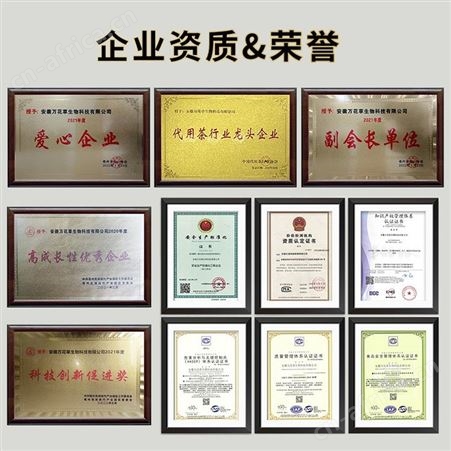 Barley Grass嫩苗粉贴牌 跨境出口青汁粉代加工 万花草益生菌粉定制
