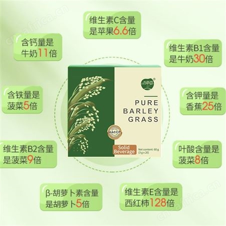 Barley Grass嫩苗粉贴牌 跨境出口青汁粉代加工 万花草益生菌粉定制