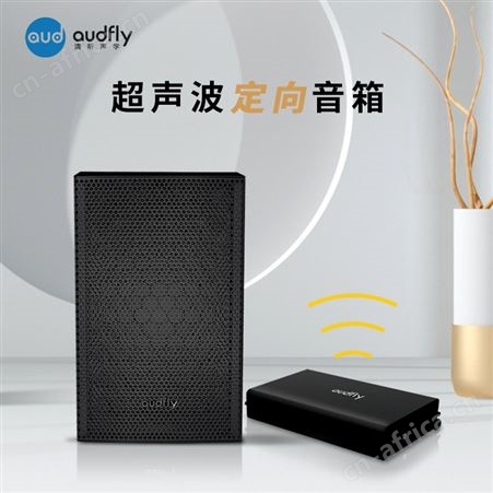 清听声学定向音响B1 定向播音音箱定向性更好 发声稳定清晰