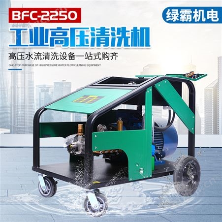 绿霸机电 清洁设备 强力除污高压清洗机BFC-2250