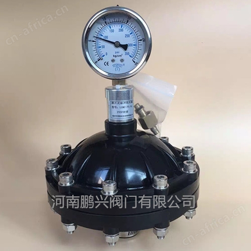 膜片式脉冲阻尼器