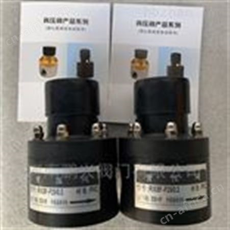 PVC背压阀-安全阀